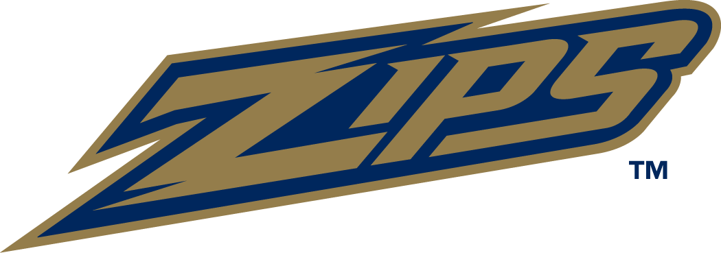 Akron Zips 2002-Pres Wordmark Logo v2 DIY iron on transfer (heat transfer)